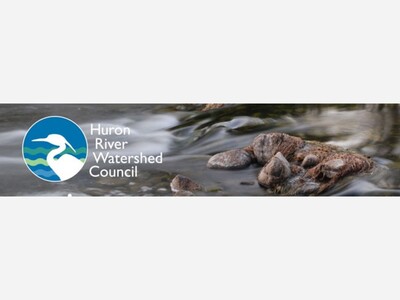 Volunteer for Stonefly Search Saturday, January 27th