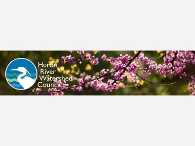 More than 31,000 pounds of trash removed from Michigan rivers,streams, and creeks
