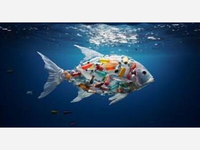 Dementia: Are microplastics accumulating in our brains a risk factor?